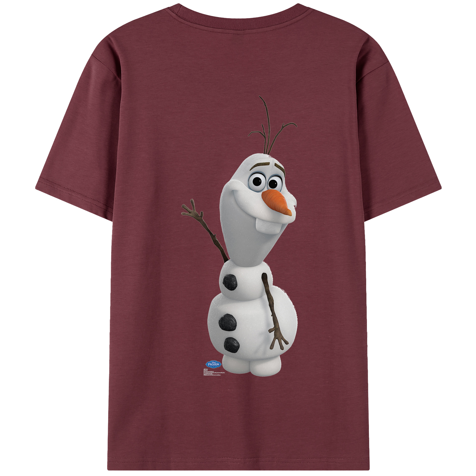 （画像用） アナと雪の女王 アンナ エルサ Frozen Anna Elsa 綿100％半袖Tシャツ（背面プリント）